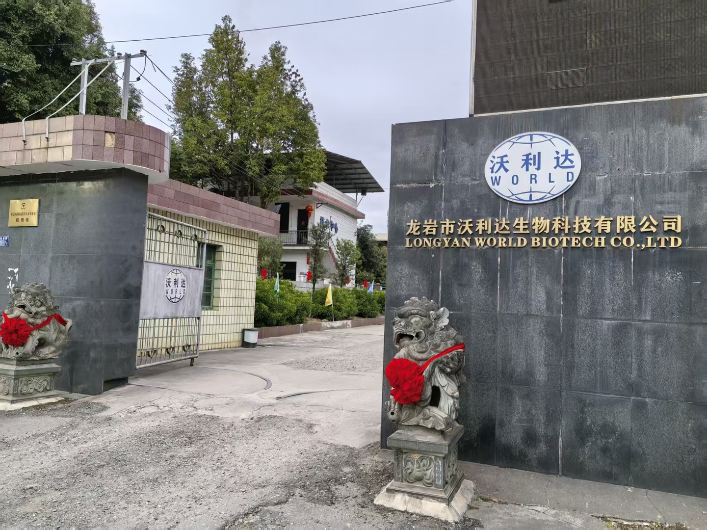 沃利达生物国内开工，海外开年复工同步启航